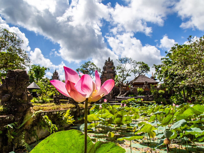 Bali & Ubud Serüveni Turu Emirates Hava Yolları ile 5 Gece (DPS-DXP-DPS) 