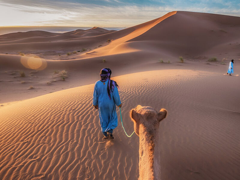 Comfort Fas İhtişamlı 7 Şehir Turu THY ile 6 Gece Ekstra Turlar ve Akşam Yemekleri Dahil CMN-RAK 2026 Dönemi