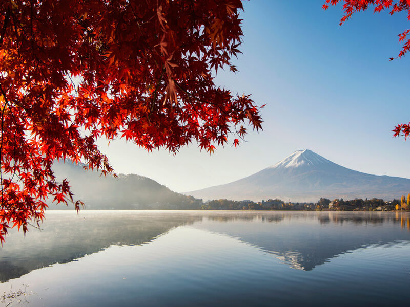 Comfort Japonya & Kore Turu Türk Hava Yolları ile 8 Gece Ekstra Turlar Dahil Sakura Dönemi ICN-KIX 10 Nisan