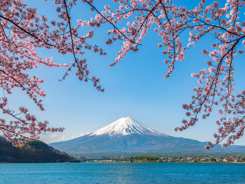 Comfort Japonya Turu Etihad Hava Yolları ile 6 gece Ekstra Turlar Dahil NRT-KIX 