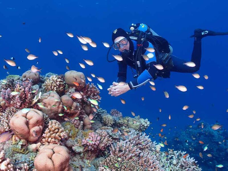 Kahire İskenderiye ve Sharm Masalı Ramazan Bayramı Özel (7 Gece - 8 Gün (6 Gece Otel Konaklamalı))