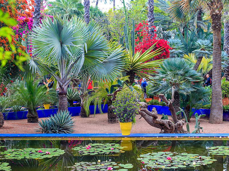 Comfort Fas & Sahra Çölü Turu Türk Hava Yolları ile 7 gece - Ekstra Turlar ve Akşam Yemekleri Dahil CMN - RAK