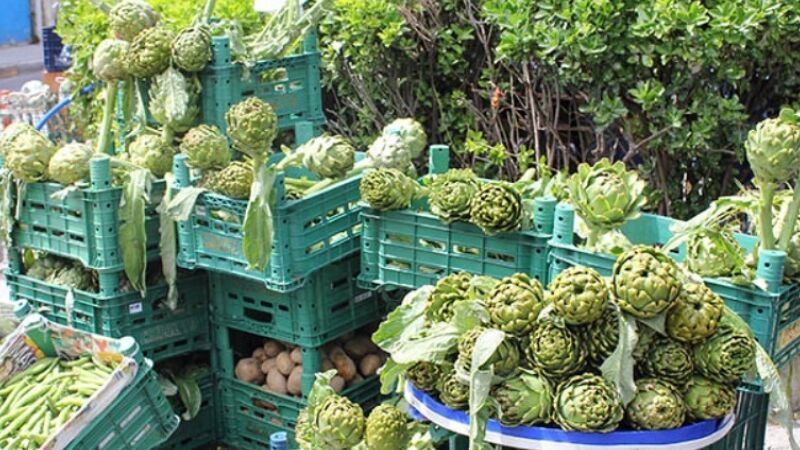 Urla Enginar Festivali Turu