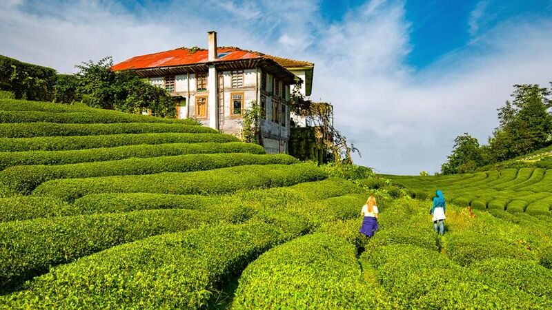 Uçaklı Karadeniz Batum Turu 3 Gece 4 Gün / İstanbul Çıkışlı 