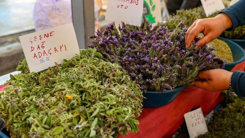 İzmir Alaçatı Ot Festivali Turu / 1 Gece 2 Gün / İstanbul Kalkışlı