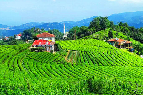 Doğu Karadeniz Turu / 3 gece 4 Gün / (2 Gece Otel konaklamalı) / İstanbul Çıkışlı