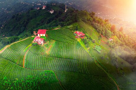 Karadeniz Yaylalar Ve Batum Turu / 4 Gece 5 Gün  ( 3 Gece Otel Konaklamalı ) İstanbul Kalkışlı