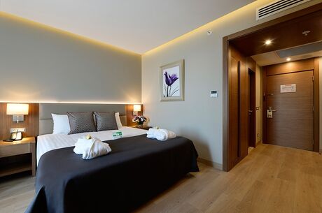 Uludağ Kayak Turu / 2 Gece 3 Gün / İstanbul Kalkışlı  Holiday İnn Bursa